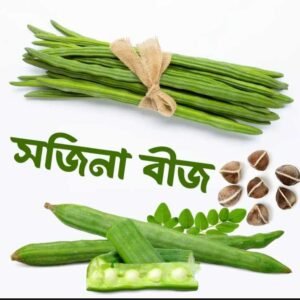 বারোমাসি সজনে বীজ