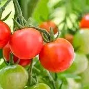 images-2