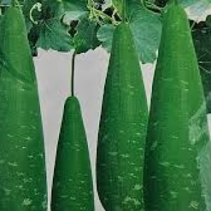 images-4