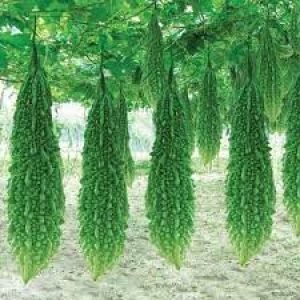 images-5